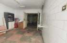 Spatiu comercial 9 camere, casa 2 camere,  teren 354 mp, Brestei. - 9