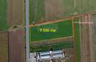 Teren agricol intravilan de 7500 mp, în Tărlungeni - 10
