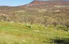 Teren extravilan de vanzare, zona Drumul Tarpiului, rid Subcetate - 2
