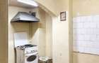 APARTAMENT DE TIP DUPLEX IN VILA RENOVATA INTEGRAL - FERDINAND - CAROL - 5