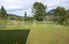 Oportunitate-cabana de vanzare, 4 camere, 75 mp, 34,5 ari te - 7
