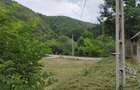 Casa de caramida la rosu, 3765mp teren intravilan, Valea Ariesului, AB - 2