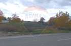Teren Construcții intravilan de 2056 mp, în Ciolpani - 11