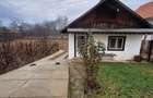 Casă cu 2 camere în Prigoria - 2