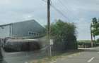 Vand teren intravilan Str. Garofi?elor Comuna Cazasu Jud. Braila - 4