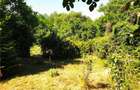 Casă cu 2 camere cu Teren 920 Mp în Ginta - 10