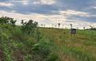 2900m2 teren intravilan in comuna Ion Creanga jud Neamt - 3