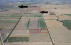 Teren agricol extravilan de 19900 mp, în Giroc - 1