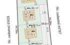 Teren 1600mp Visan - Str. Al. Macedonski Ideal Dezv/ Duplexuri / Bloc - 4