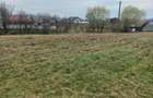 Teren intravilan Dolhasca, Suceava 3.999 mp - 7