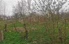 Teren intravilan de vanzare - 8