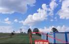 ?inca Noua 8.439 mp pentru agricultura, apicultura ?i investi?ie - 8