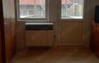 Apartament 1 camera Lunca Resita - 2
