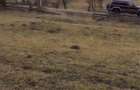 Teren intravilan de vanzare Scrind, com. Margau - 3