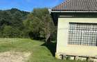 Casa + teren + padure sat Moliset, jud Bistrita Nasaud - 4