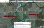 Teren extravilan 1,55 Ha - Com. Belciugatele, Jud. Calarasi - 1