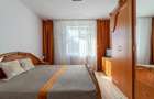 Apartament cu 3 camere decomandat în Ultracentral - 7