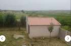 Vand casa la rosu P+M cu anexe,teren in sup.de 2877 mp.informatii la tel. ,pret 134800 euro. - 3