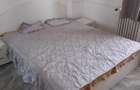 Apartament cu 2 camere decomandat în Panduri - 10
