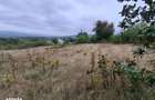 Teren intravilan Ciurea , 642 metri Cod:161753 - 7