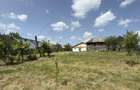 Casă cu 4 camere cu Teren 1798 Mp în Răchițele de Jos - 4