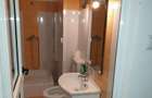 Chirie Apartament 3 Camere Centru - 7