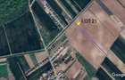 Teren intravilan 500/1000mp Sabareni | 300m de padure si 1km de Autost - 4