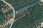 Teren intravilan de vanzare - 1060mp, zona linistita Vale - Sibiel - 5