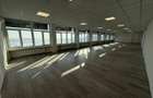 SPATIU COMERCIAL | 250MP | ACCES METROU 2-3 MINUTE | RENOVAT - 3