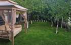 Vila exclusivista de vanzare, vis-a-vis de Primaria Chiajna - 8