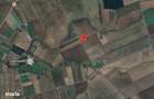 Teren extravilan arabil-Com.Madaras, Jud. Bihor - 3