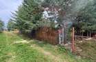 Casă individuală cu 3 camere cu Teren 500 Mp în Mărișel - 5