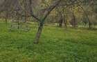 Teren de vanzare in Musate?ti, jude?ul Arge?, zona Maruncioaia, 3560mp, 25m deschidere, 4 EUR/mp - 2