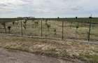 Parcele 1009/1500/2000/2500 mp intravilan zona Peugeot-Ciromat - 3