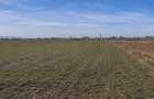 Teren agricol 7.700 mp Iugani, lângă E85 și Nodul A7 Roman, ideal investiție sau - 1