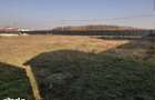 Teren de inchiriat Mogososia (intre 100-2.500mp) - 5