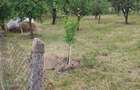 Vand teren intravilan - 4