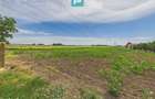 Teren extravilan 5000 mp, Arad - 11