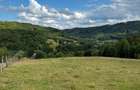 Teren Construcții intravilan de 21846 mp, în Răcădău - 7
