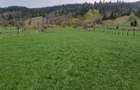 Vindem teren in Vatra Moldovitei - Bucovina - 8