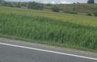 Teren de vanzare in huedin - 1