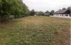 Vand parcele 600/800/1000 M2 teren Valea Voievozilor - 1