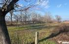 Teren 2,300mp Petresti / Strada Lacramioarei - Petresti (Vrancea) - 3