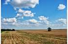 Sat Popesti. Curent. Padure. Aer curat, liniste, acces usor Bucuresti. - 3