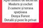 Apartament cu 2 camere semidecomandat în Lipovei - 3