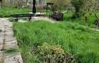 De vanzare casa agro-turistica in Istria - 7