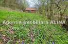Teren intravilan 1.700 mp + 6.600 mp Padure de foioase + 1.200 mp Padure de foioase, Sat Nojag. - 5