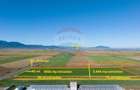 Teren agricol intravilan de 7500 mp, în Tărlungeni - 1