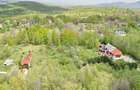 Teren de 5000 mp, în Predeluț - 16