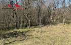 Casa si anexe cu un teren de 7701 mp de vanzare in Stauini Jud Alba - 17